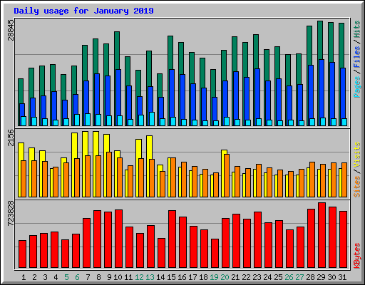 Daily usage for January 2019
