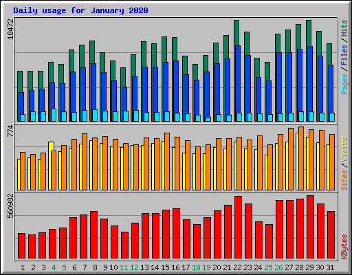 Daily usage for January 2020