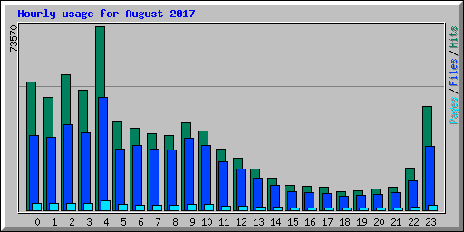 Hourly usage for August 2017