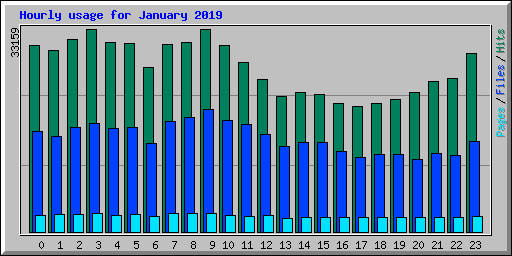 Hourly usage for January 2019