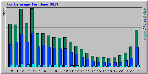 Hourly usage for June 2019