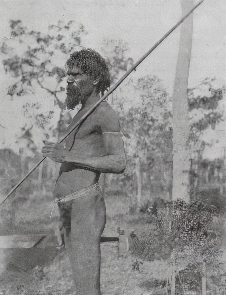 A northern Queensland man wearing a simple armband and waist belt made from plant fibres. He holds a spear, and a spearthrower with a shell handle.